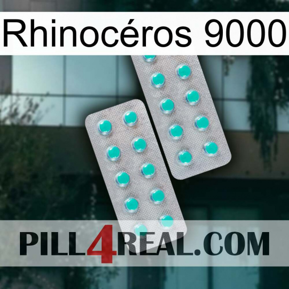 Rhinocéros 9000 29